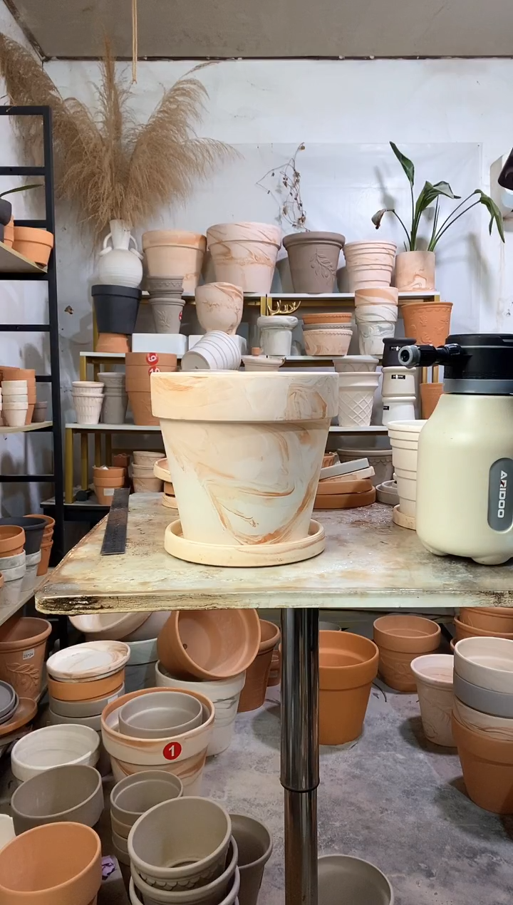 23*21玛奇朵 1盆1托