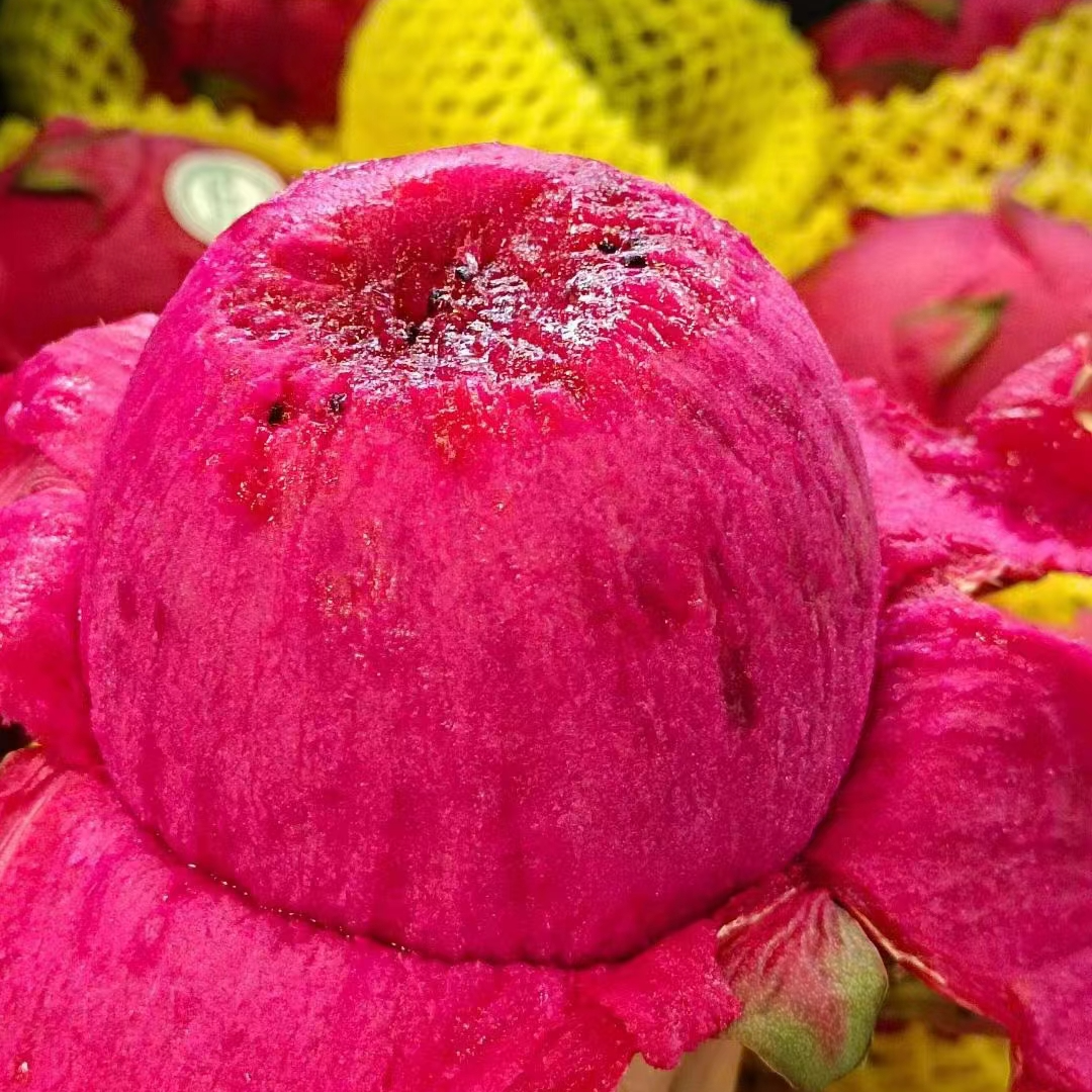 国产红心火龙果小果5颗