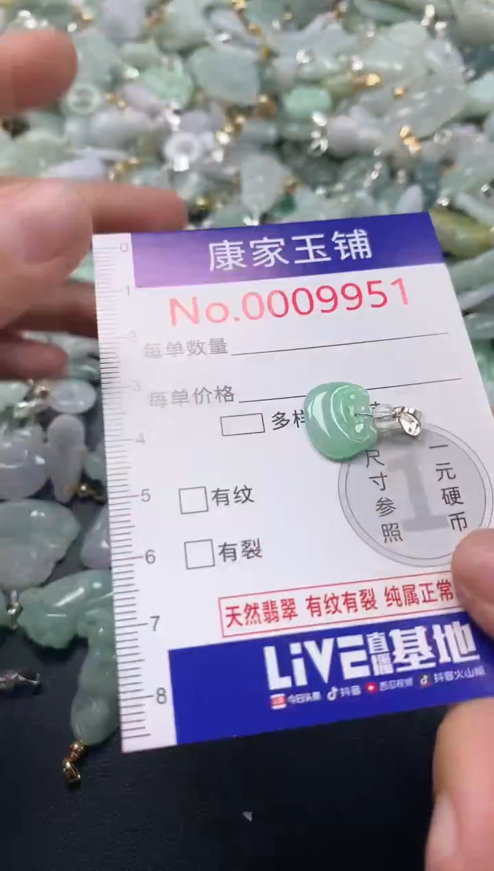 颈饰未镶嵌翡翠9951