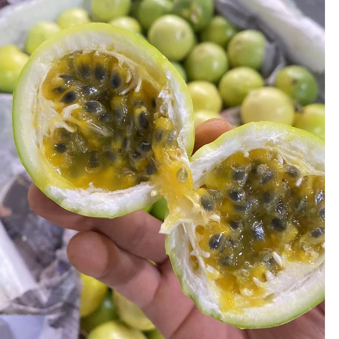 【福州配送】钦蜜9号黄金百香果