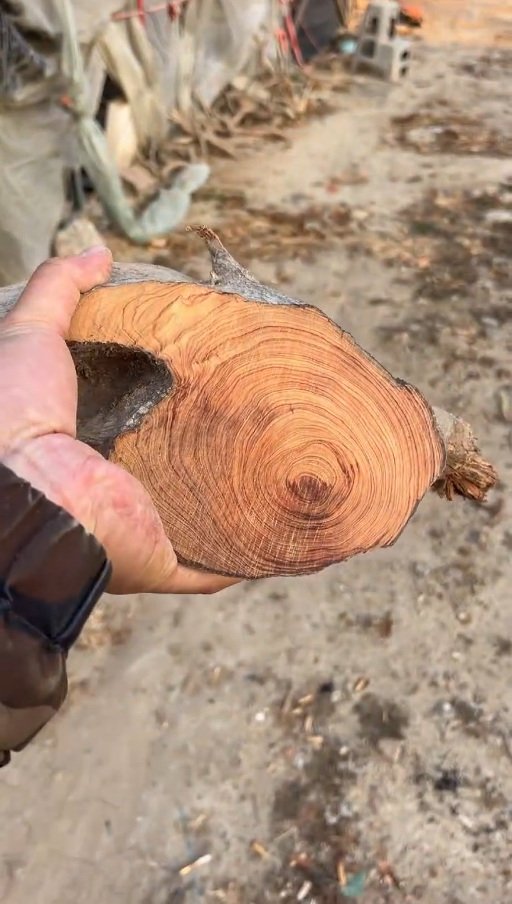 柏木（崖柏）太行崖柏茶头