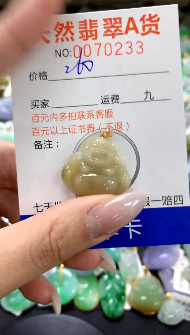 翡翠18K金镶嵌颈饰1111111111111111