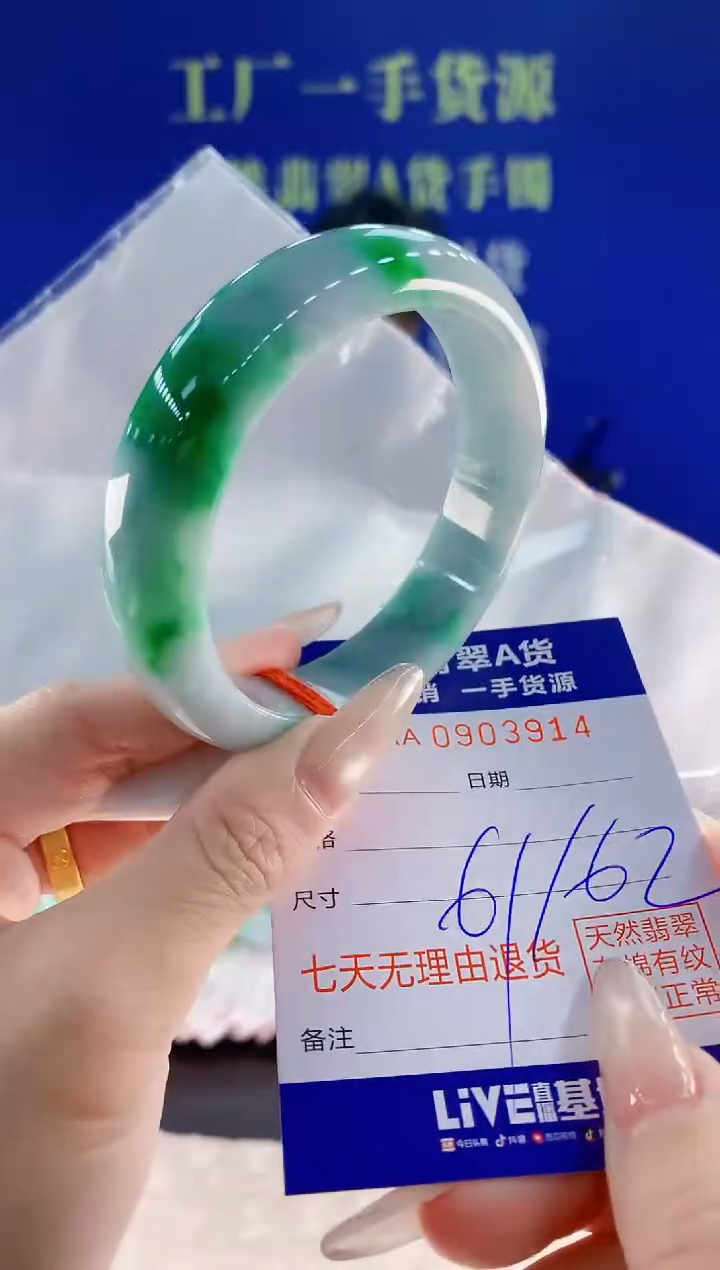 未镶嵌手镯翡翠14