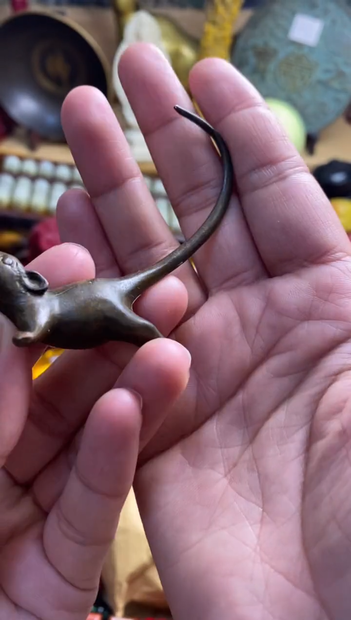 老鼠主播推荐主播推荐