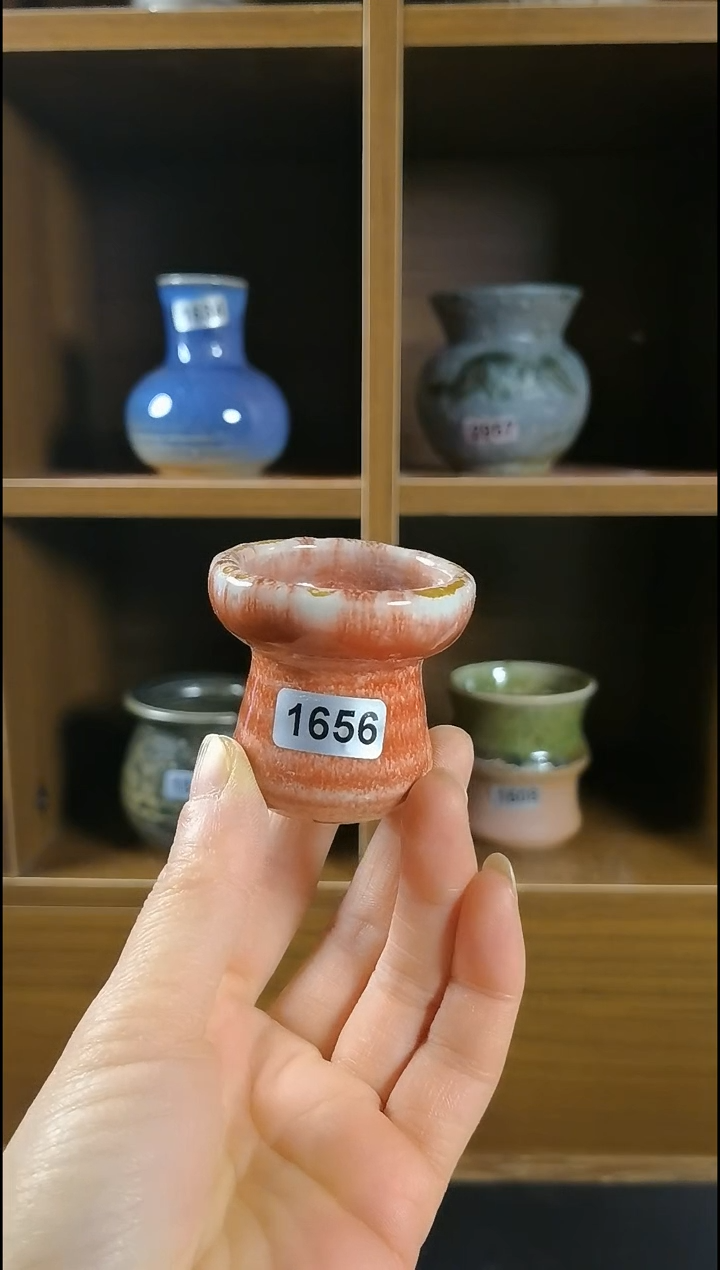 【闪购商品】红陶1656