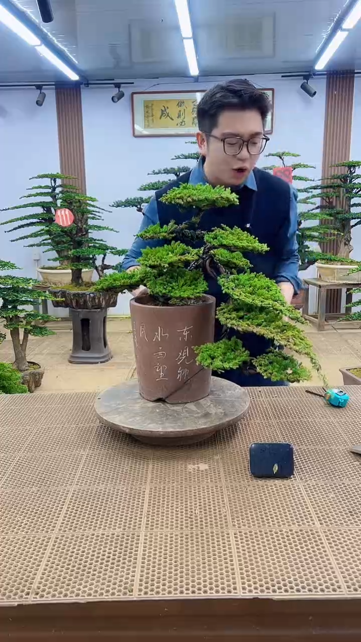 无花朵000000000000