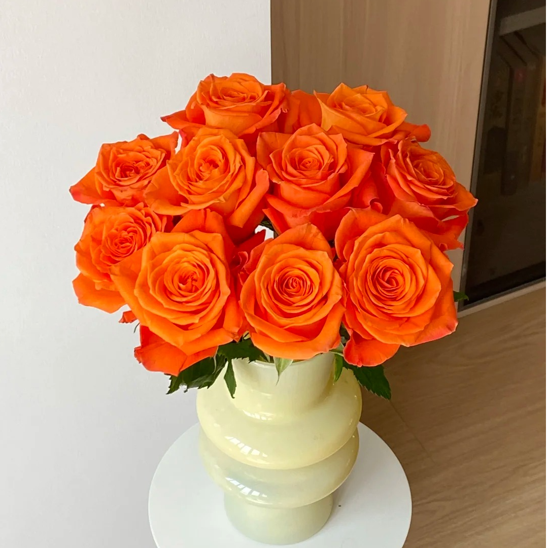 【源头优选】国王日单头玫瑰任意2单鲜花包邮发货后不支持退款