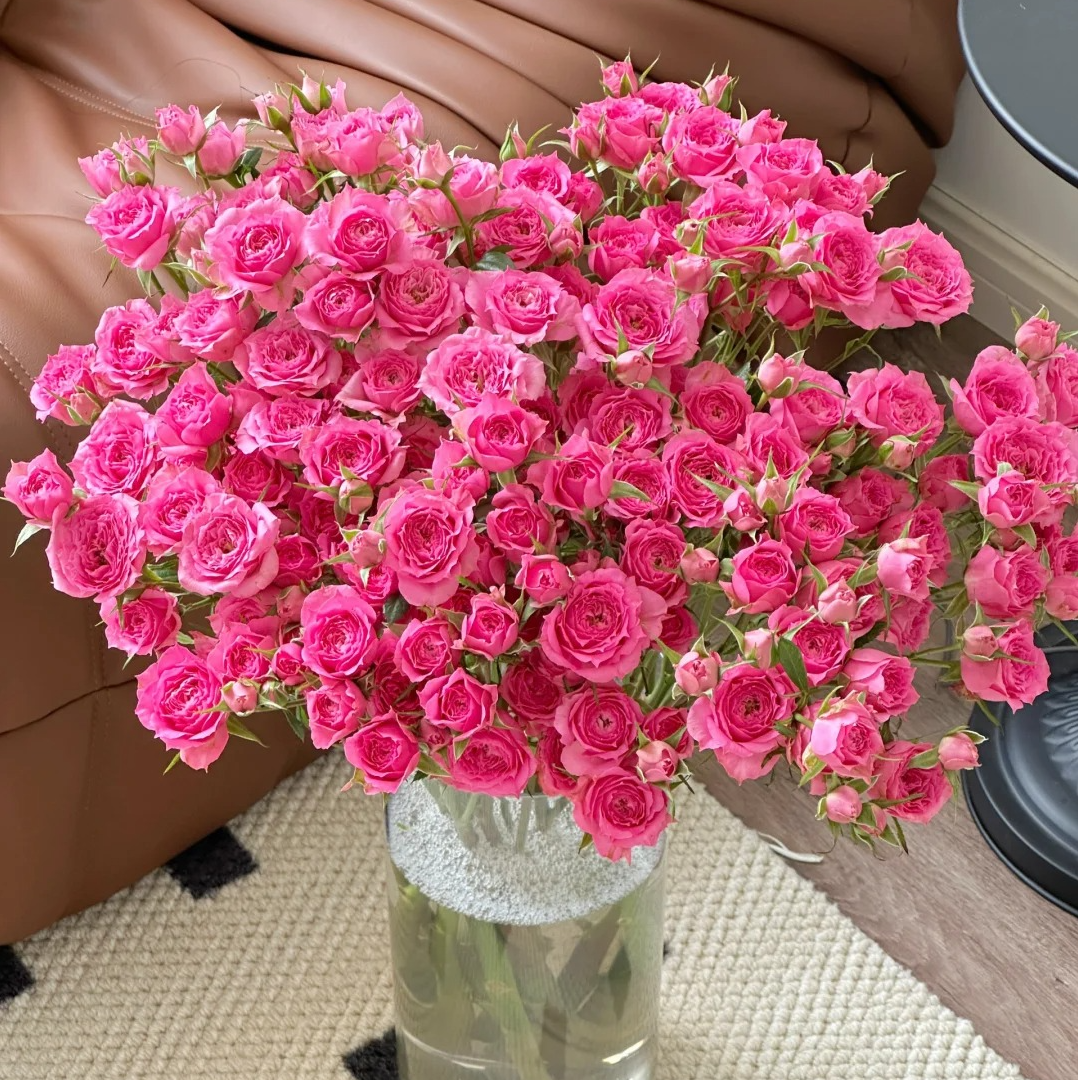 【苏菲宝贝 多头玫瑰 鲜切花/全场任意满两单及以上鲜花包邮发货 】