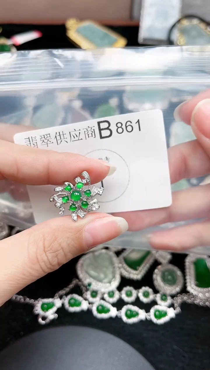 【闪购商品】翡翠颈饰未镶嵌861赠皮绳