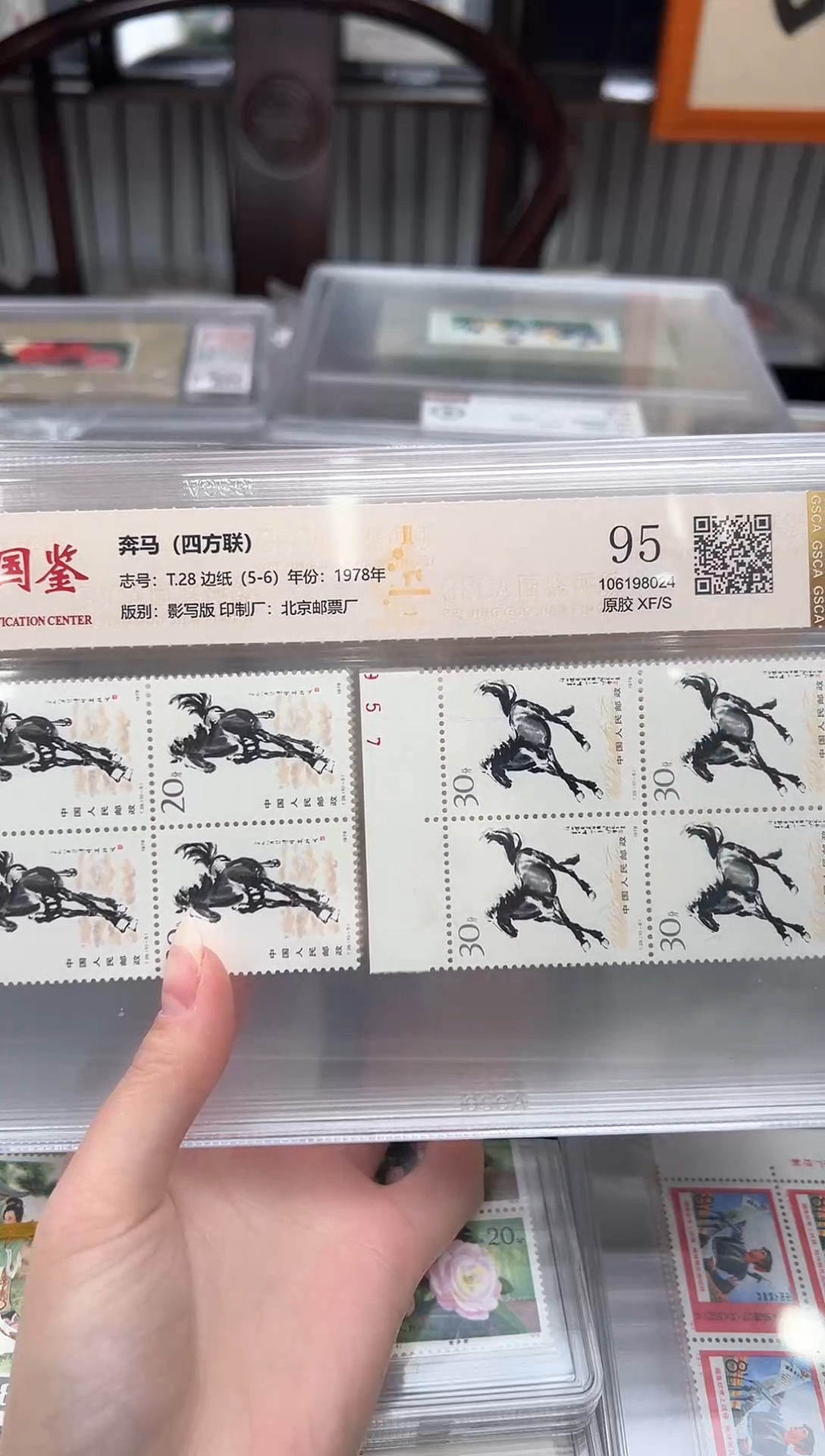 【闪购商品】奔马 四方联 边纸 封装评级