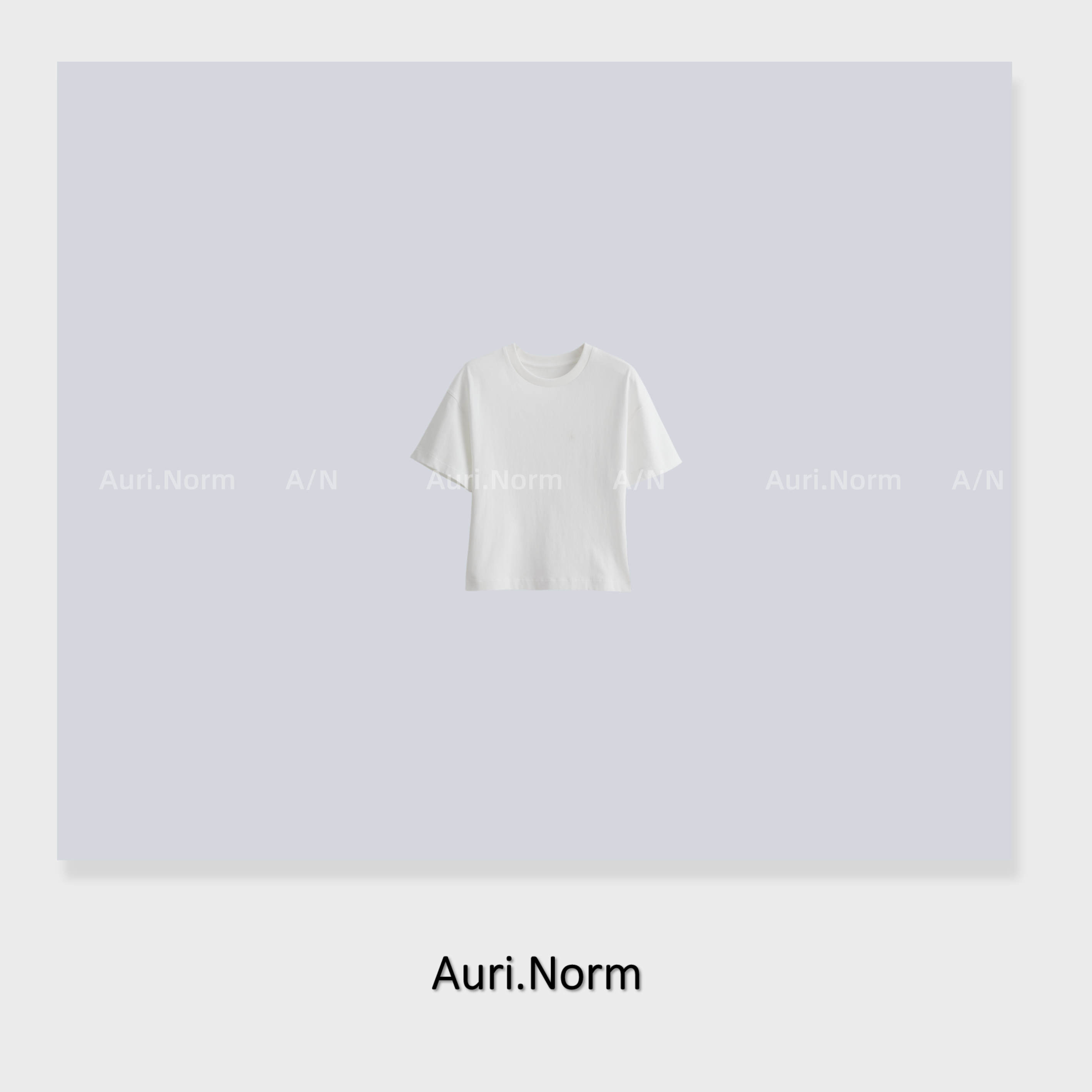 Auri.Norm【雪绒花】舒适亲肤纯棉收腰T恤小众设计师特别款