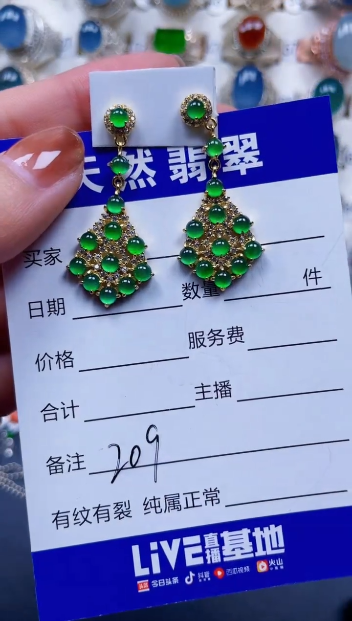 银S925镶嵌翡翠耳饰209