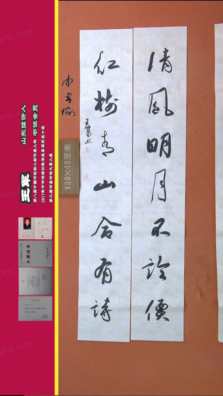 【闪购商品】书法49王军书法作品