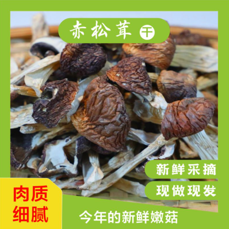 赤松茸100g/袋 现收农家特产食用农产品