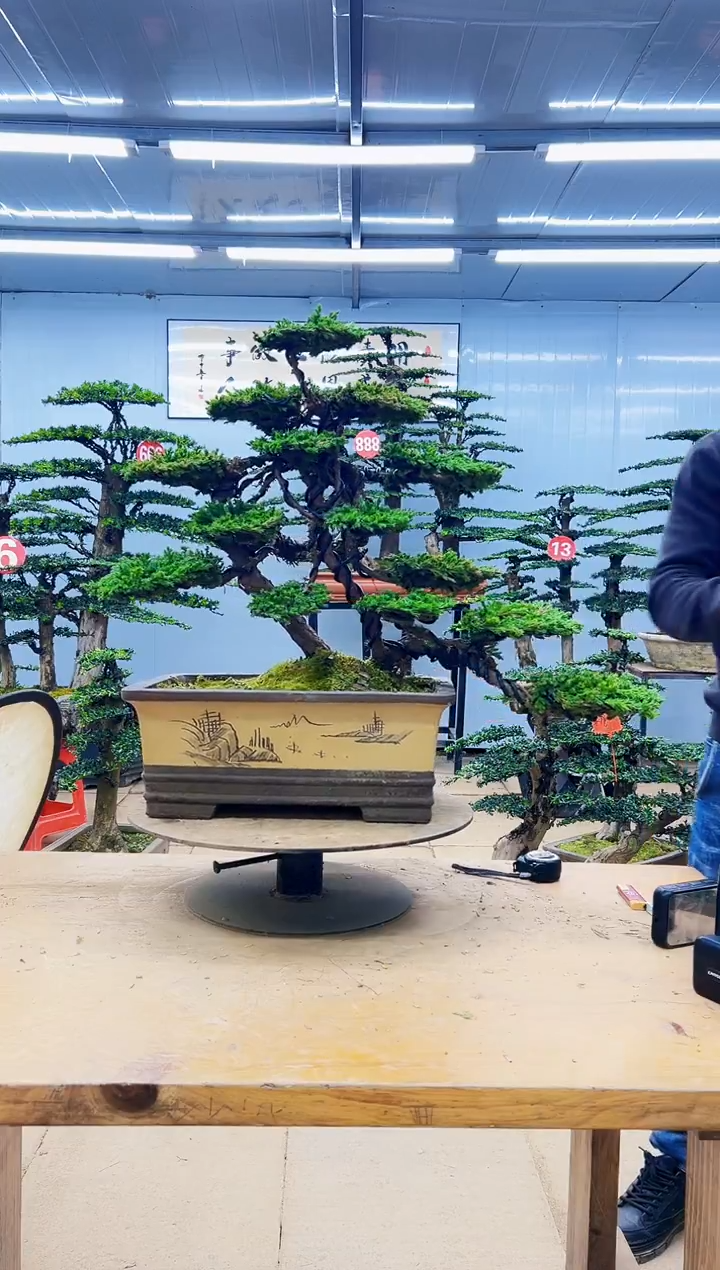 无花朵00000000000000000000000