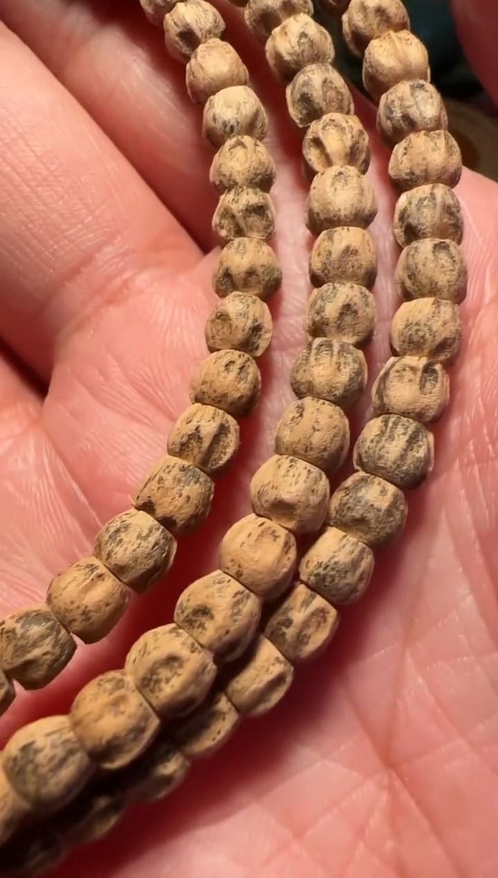 【闪购商品】柏香籽/百香籽吊坠TG0152