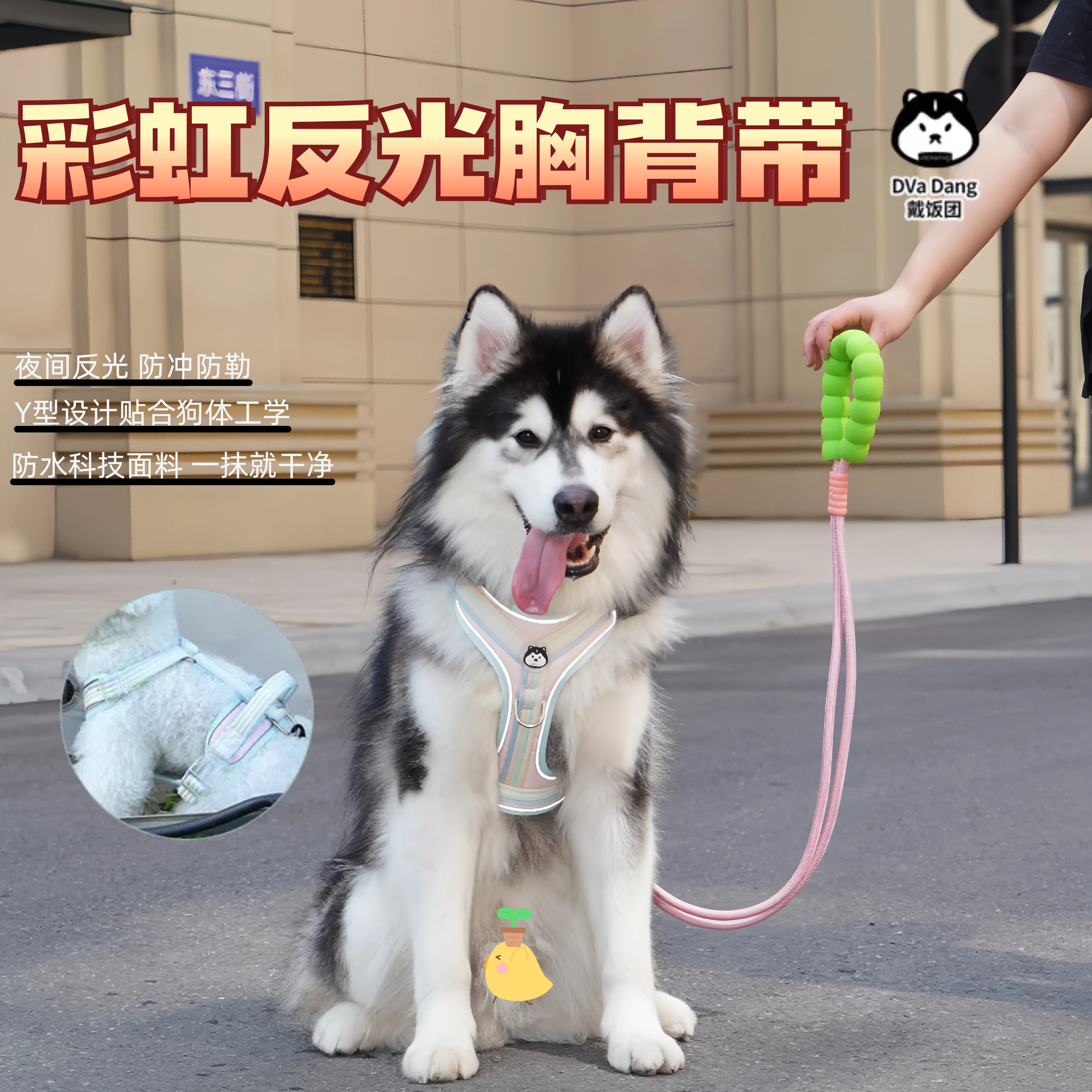 狗胸背带背心式狗绳牵引绳遛狗绳柯基比熊中小型犬牵引绳牵引绳