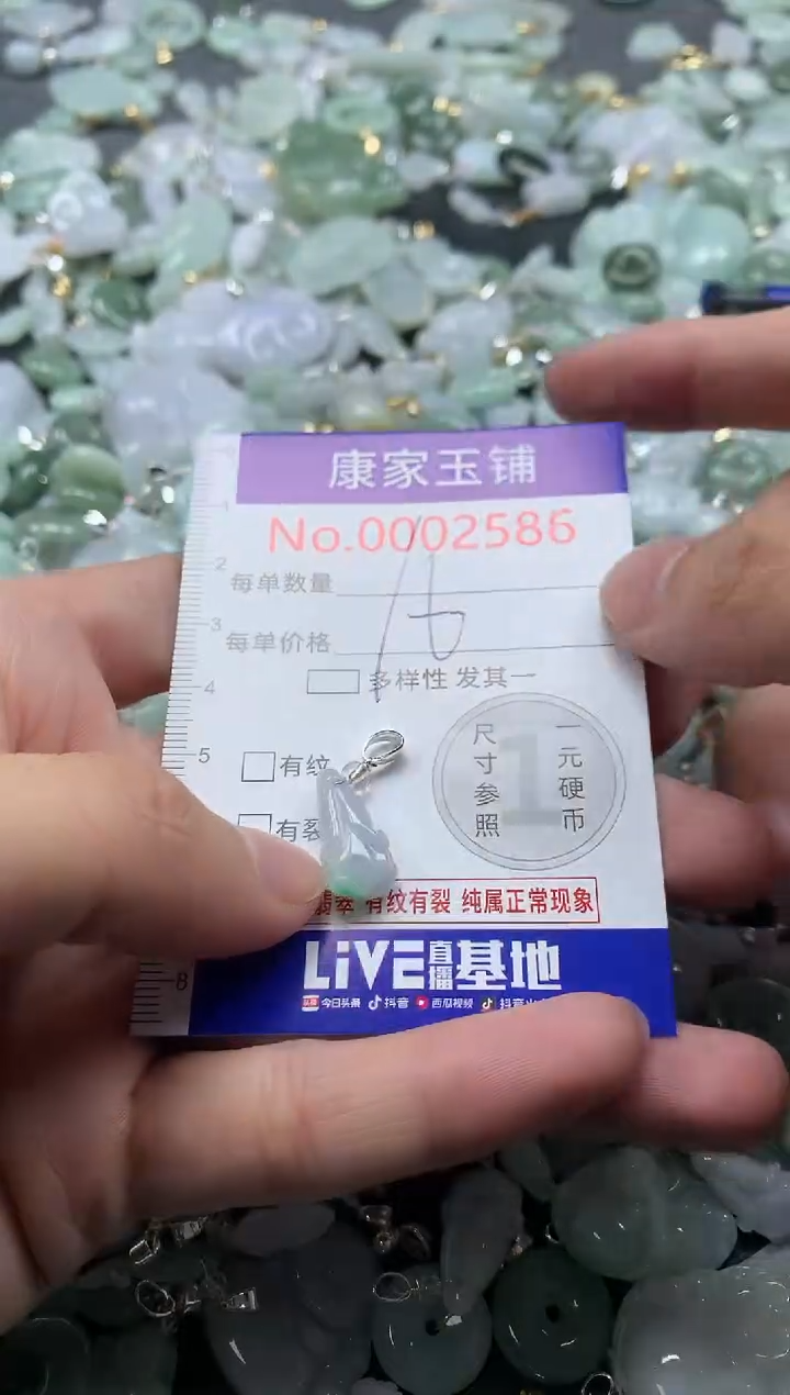颈饰未镶嵌翡翠2586