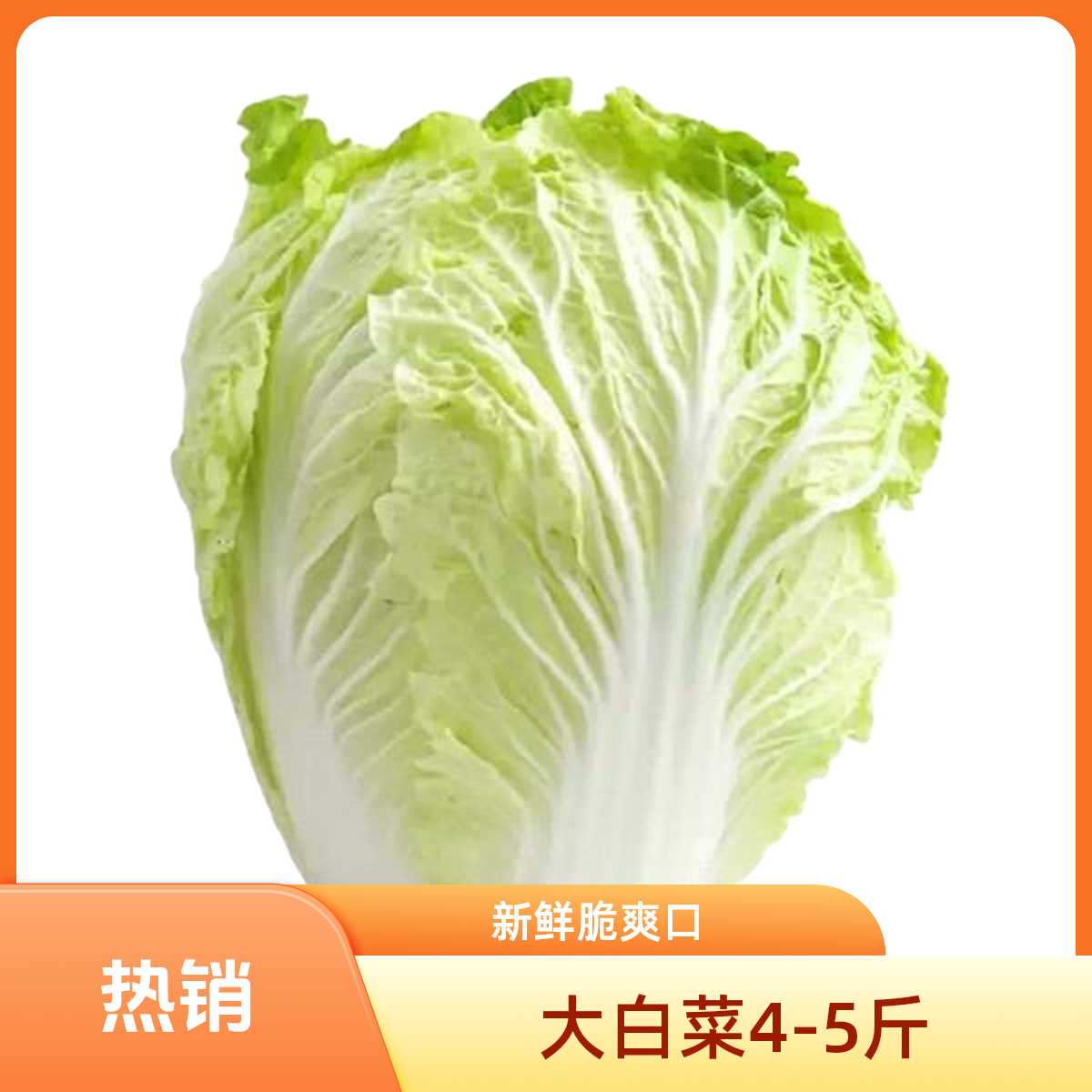 大白菜一颗（4-5）斤