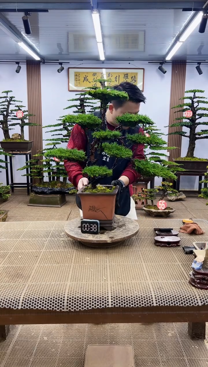 【闪购商品】0000000