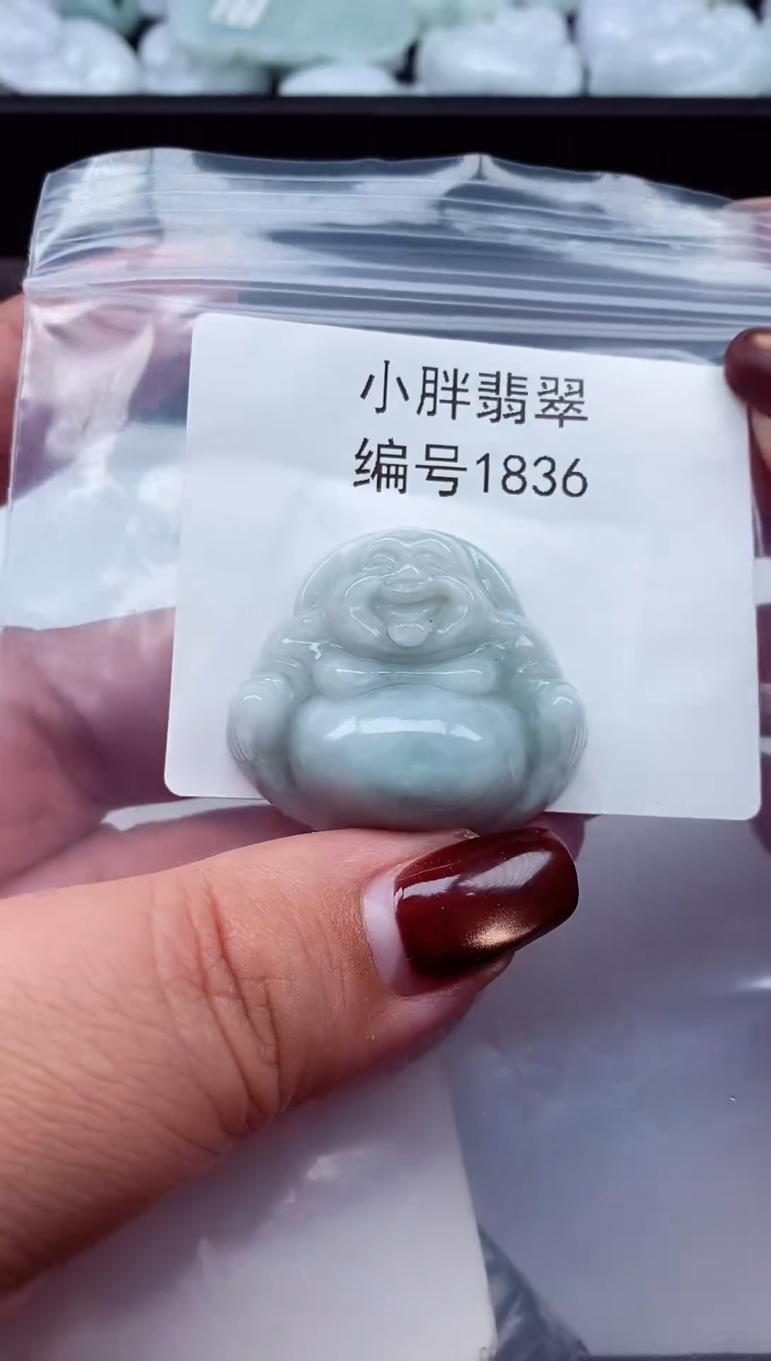 颈饰未镶嵌翡翠缅甸天然A货翡翠1836