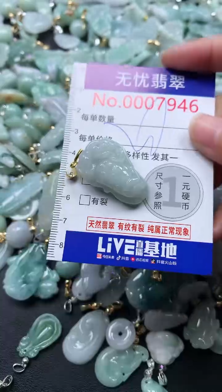 颈饰未镶嵌翡翠7946