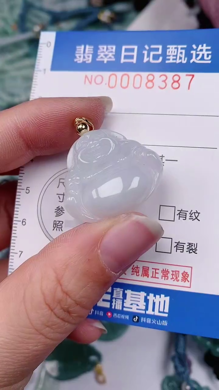 【闪购商品】翡翠颈饰未镶嵌00008387