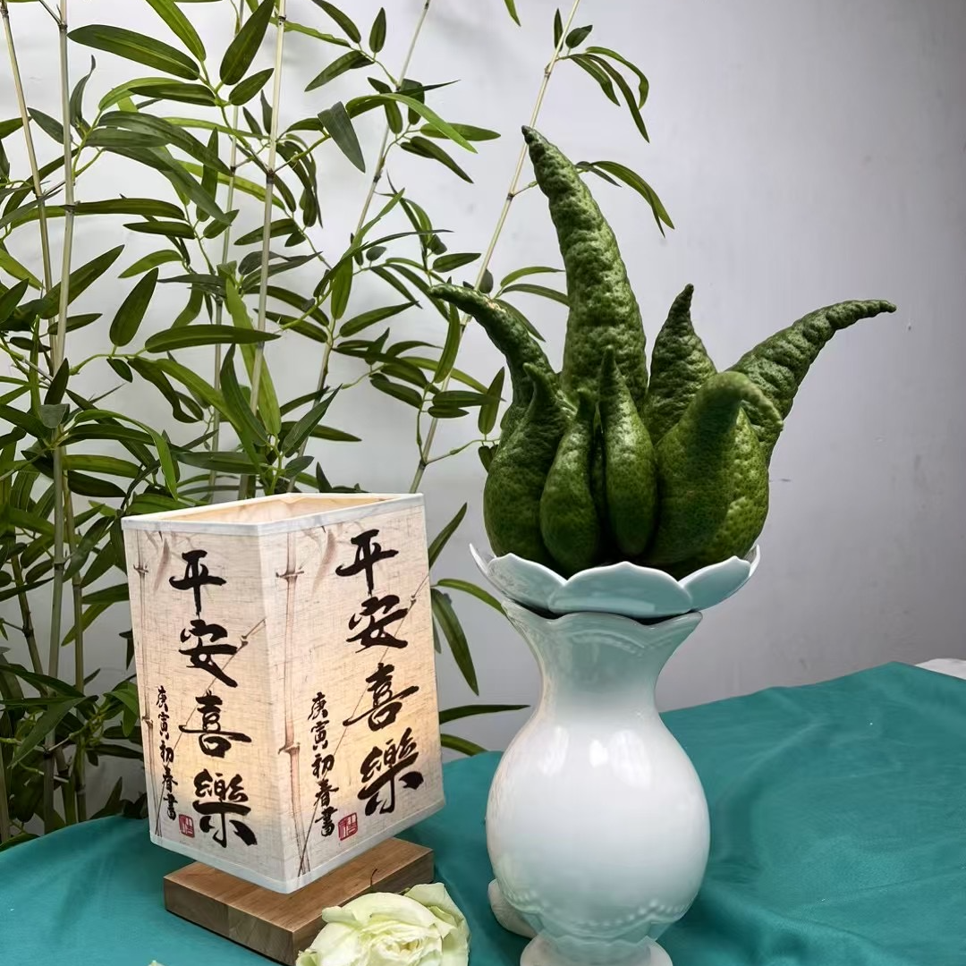 1云南精品佛手【清供摆件】高端花材   