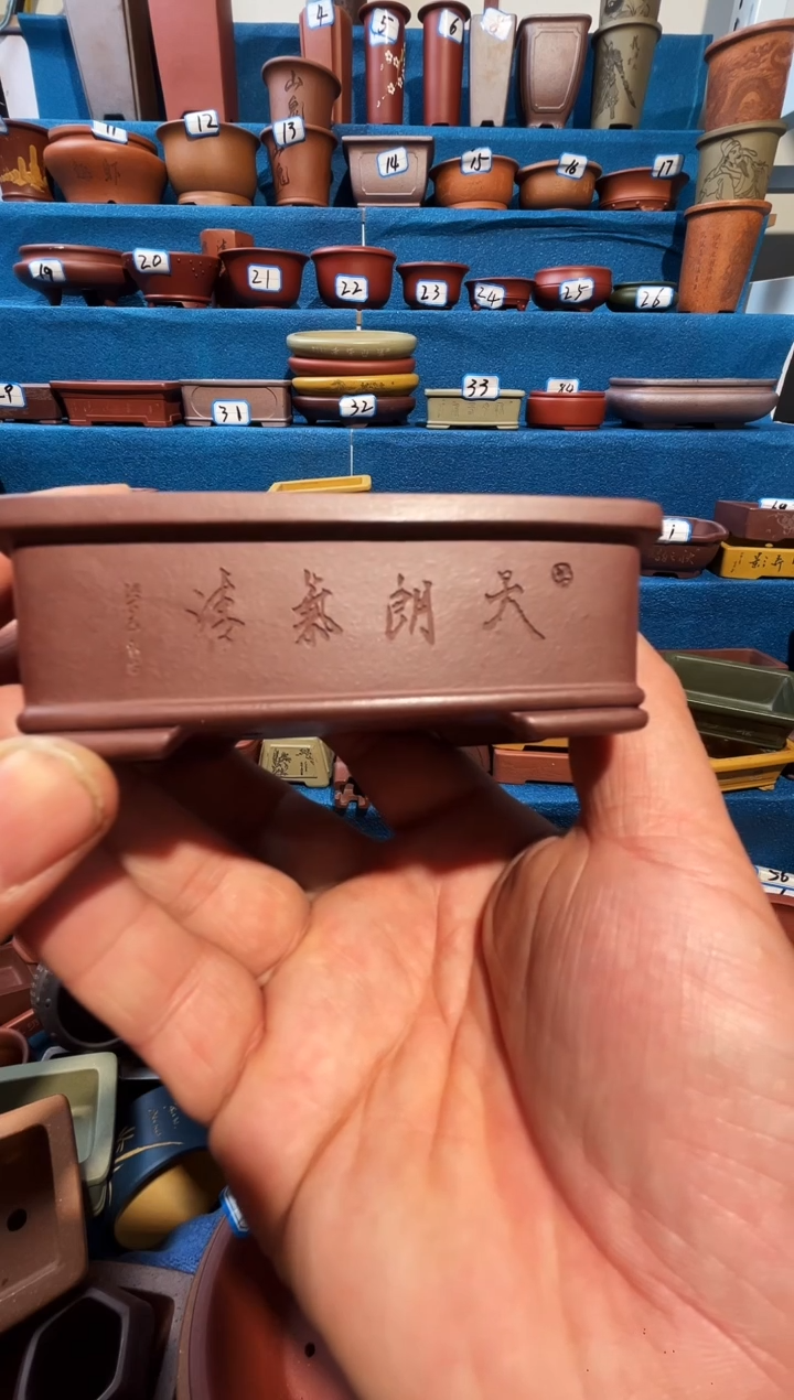 【闪购商品】紫砂紫砂花盆8.5*5.*2.5