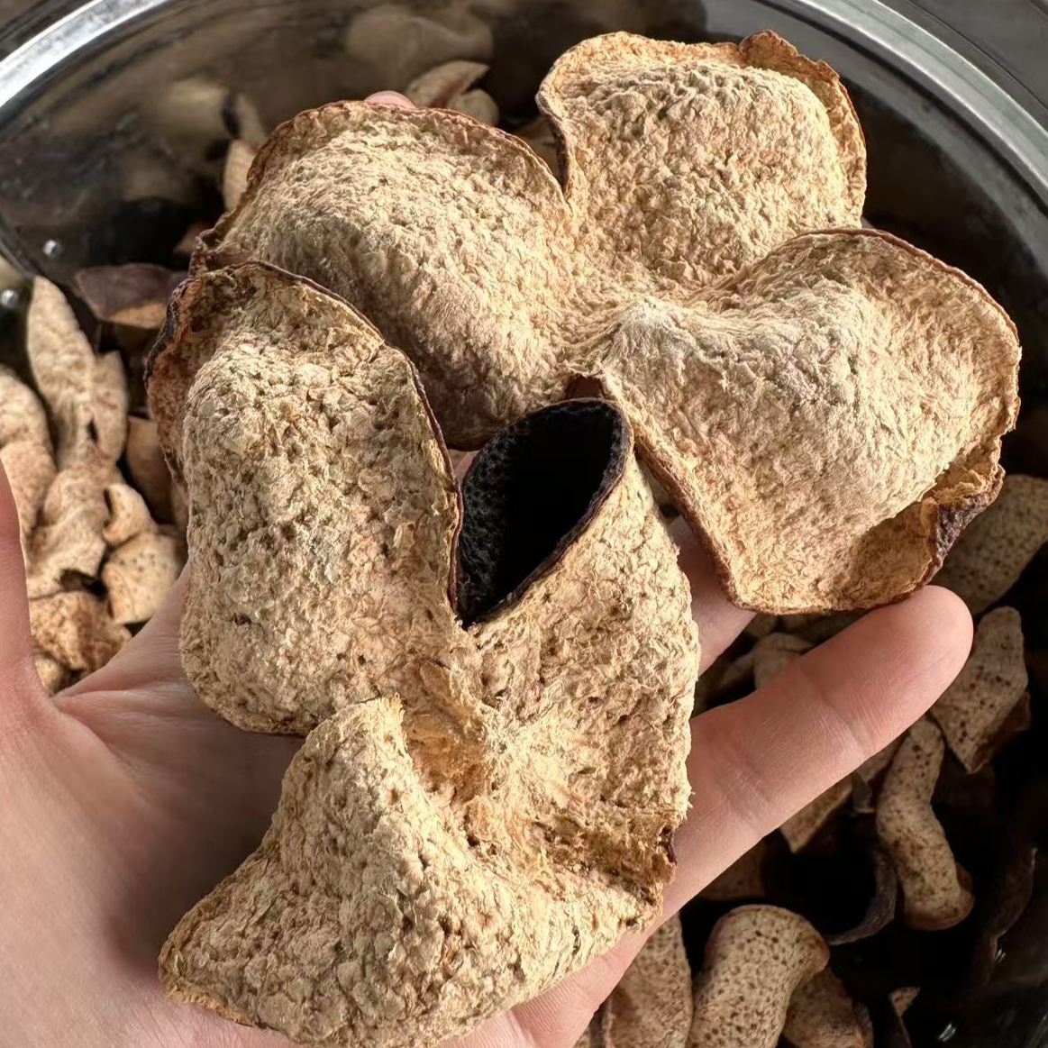 2016年东甲圈枝大红皮 