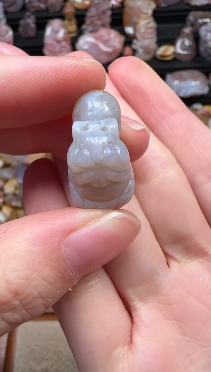 颈饰未镶嵌硅化珊瑚（珊瑚玉）276