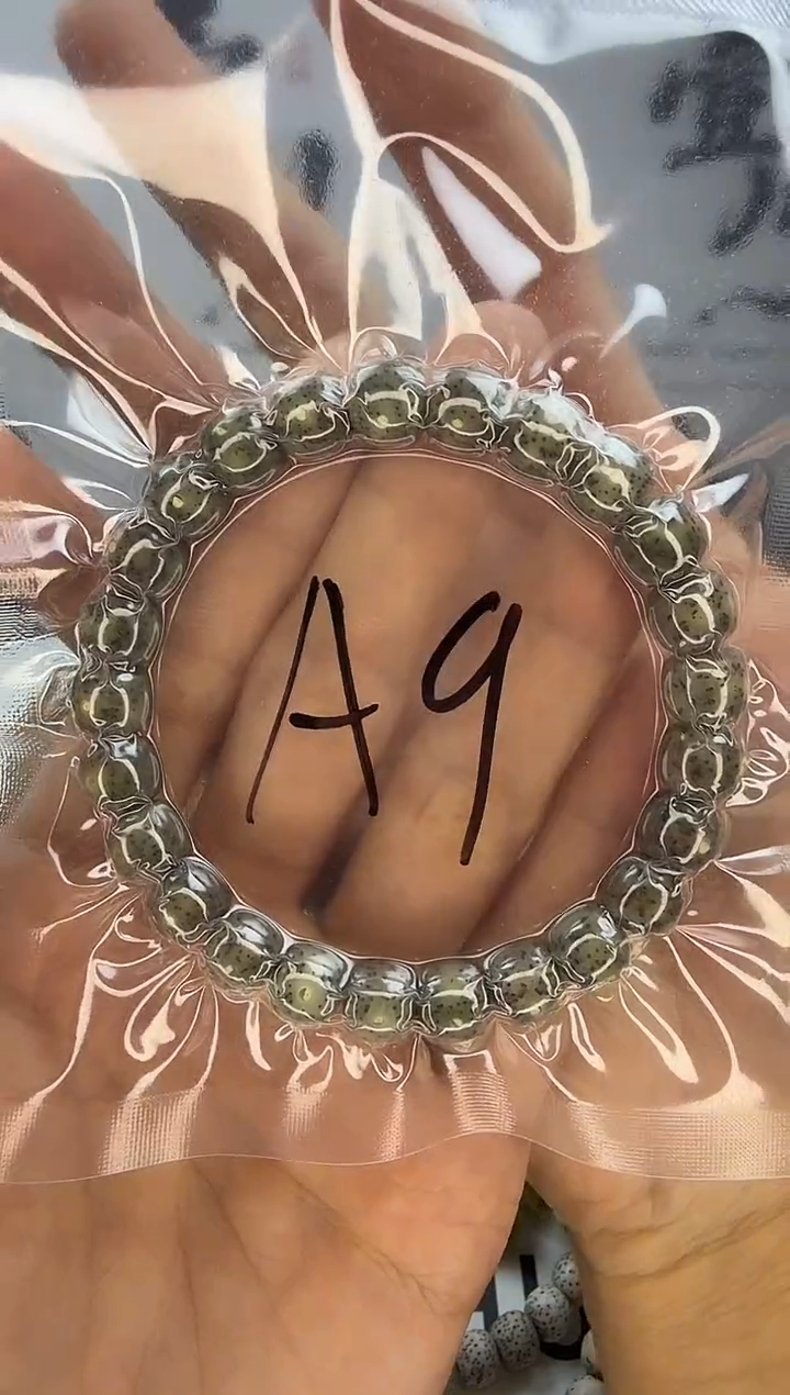 手串星月菩提9/8 黑冰 星点货 同枝果