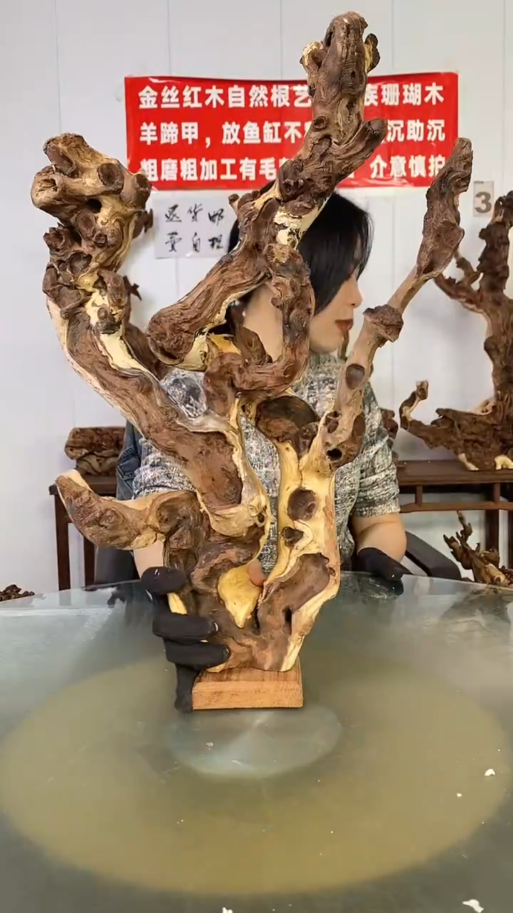 木知**乐金丝红木  羊蹄甲