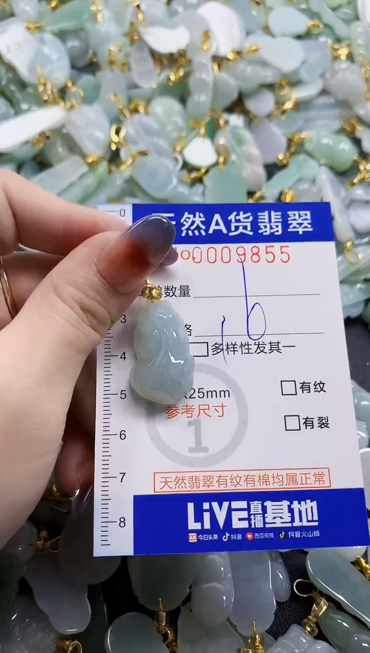 颈饰未镶嵌翡翠天然A货翡翠