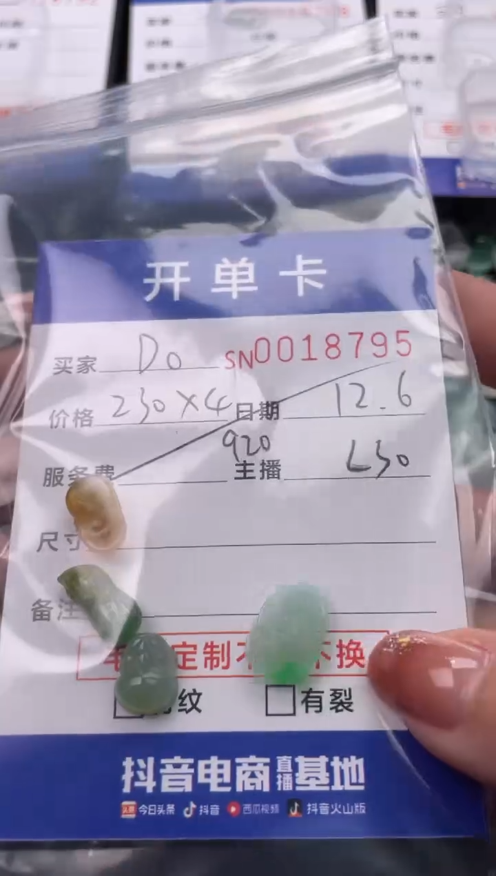 颈饰未镶嵌翡翠D****H18795