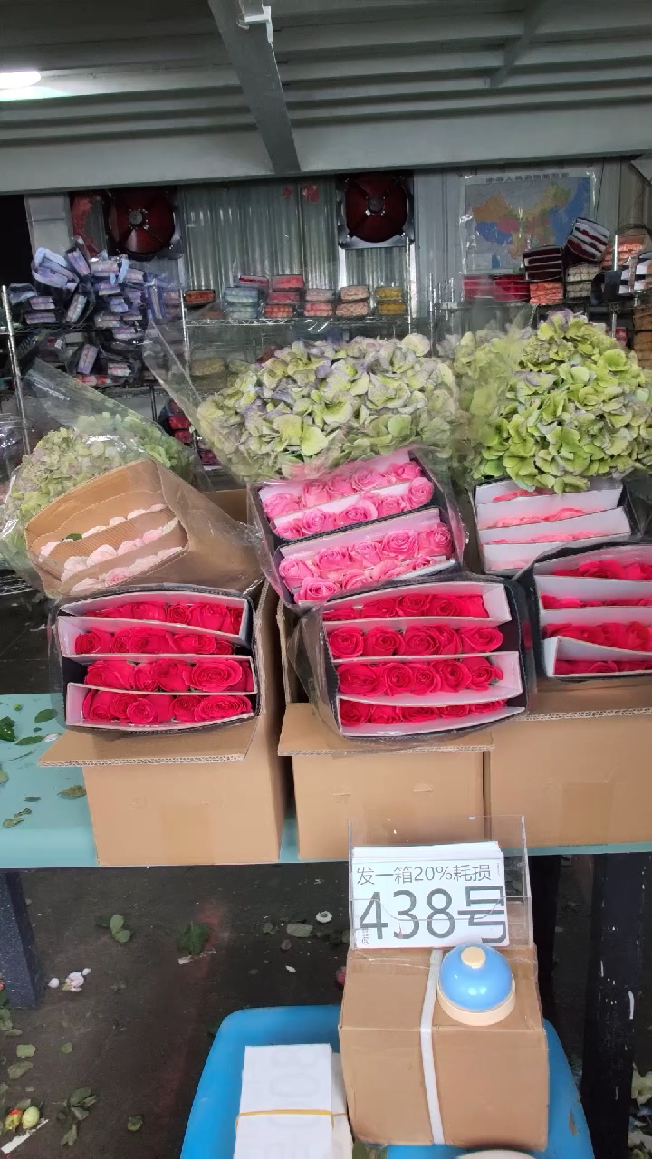 438号♥含20%耗损发一箱