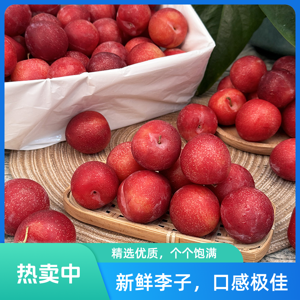 智利樱桃李新鲜迷你进口樱桃李新鲜水果李子