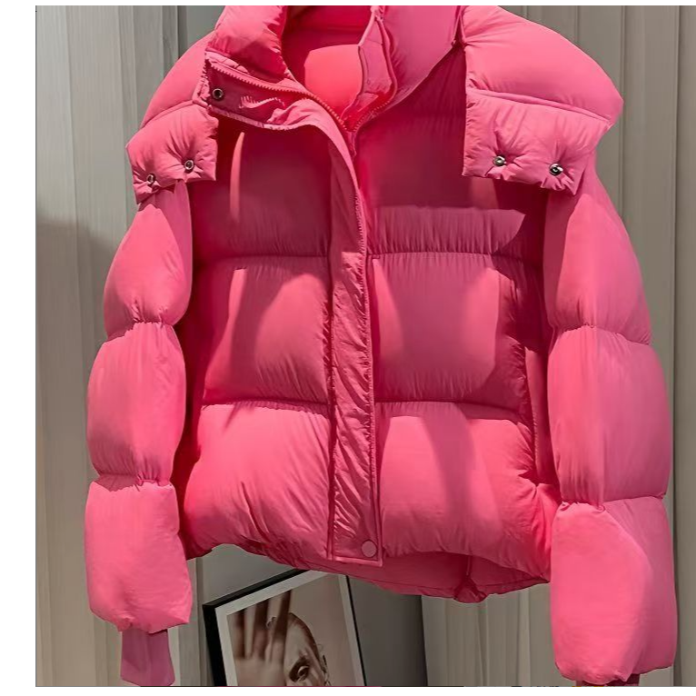 【半生繁花】新款升级版韩版泡芙时尚百搭女款短款连帽脱卸鹅绒服19