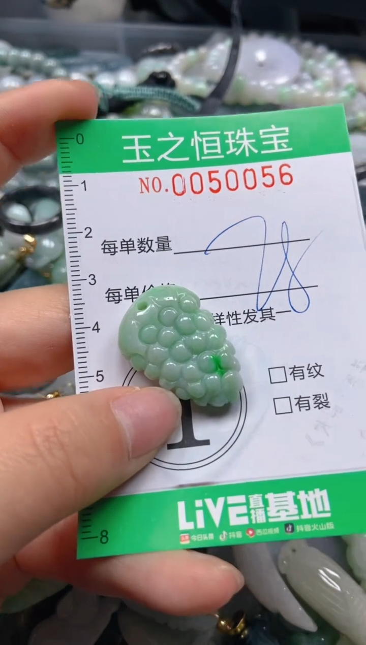 【闪购商品】翡翠颈饰未镶嵌闪购0050056