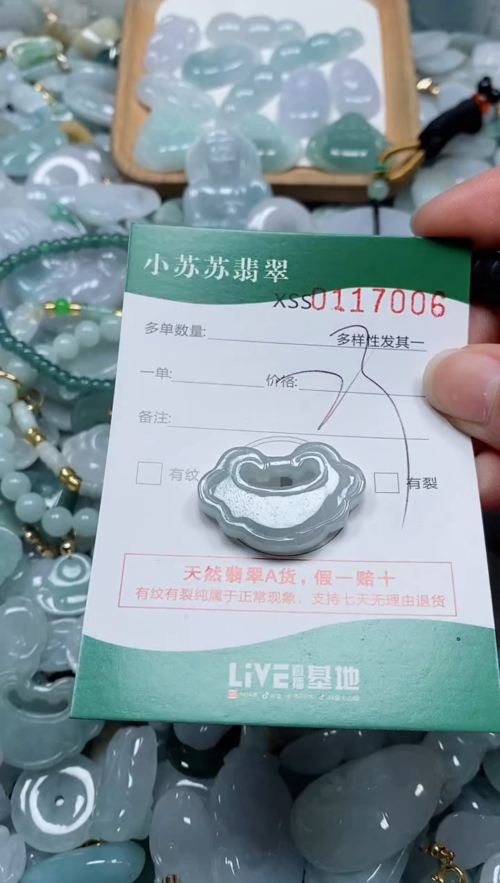 【闪购商品】翡翠颈饰未镶嵌闪购商品0117006