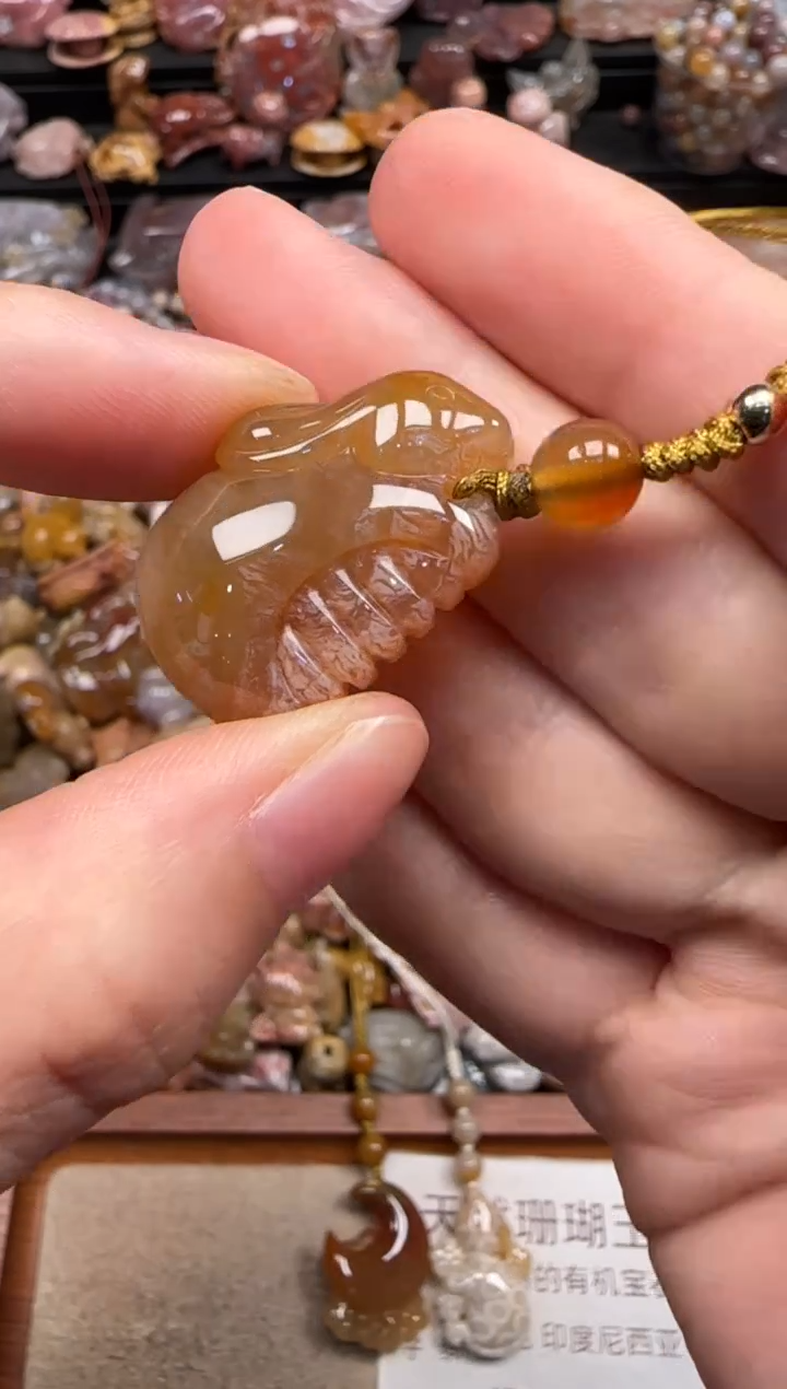 硅化珊瑚（珊瑚玉）未镶嵌颈饰599