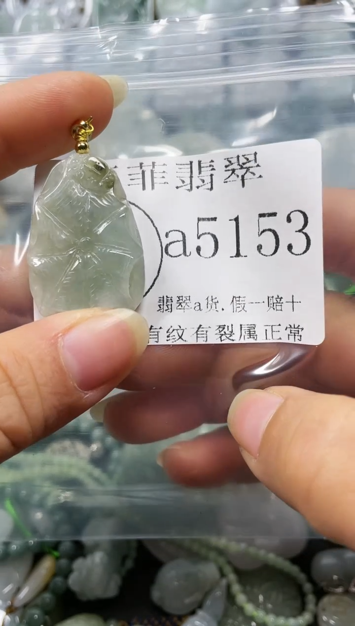 【闪购商品】翡翠颈饰未镶嵌闪购5153