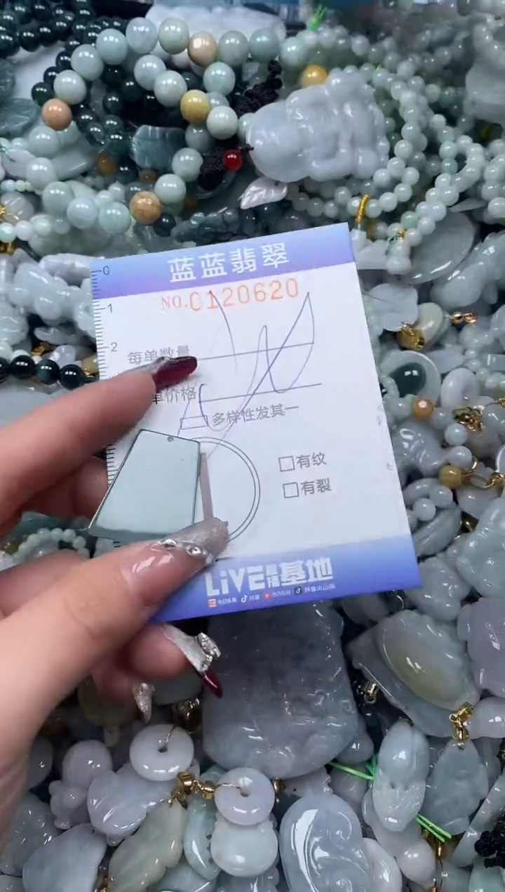 【闪购商品】翡翠颈饰未镶嵌闪购0120620