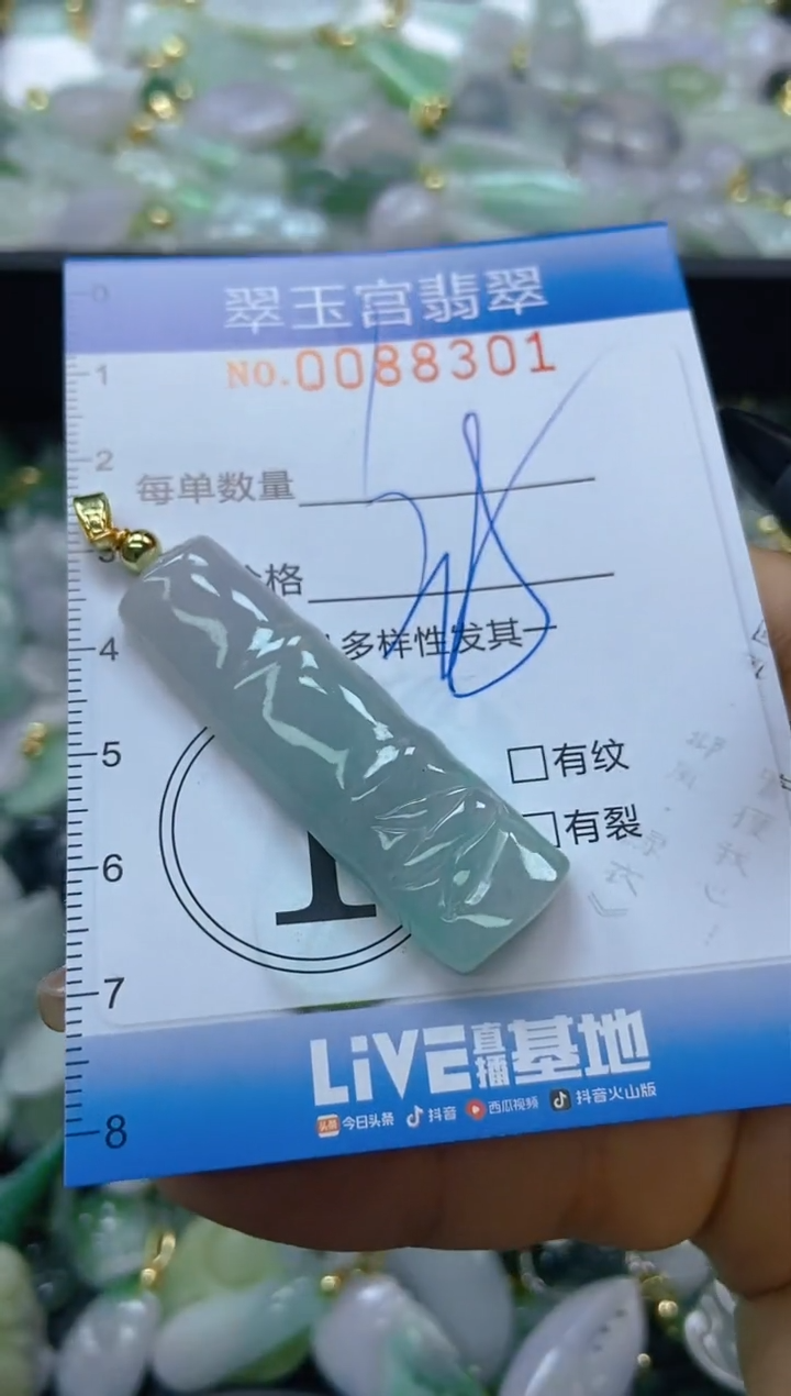 【闪购商品】翡翠颈饰未镶嵌闪购0088301