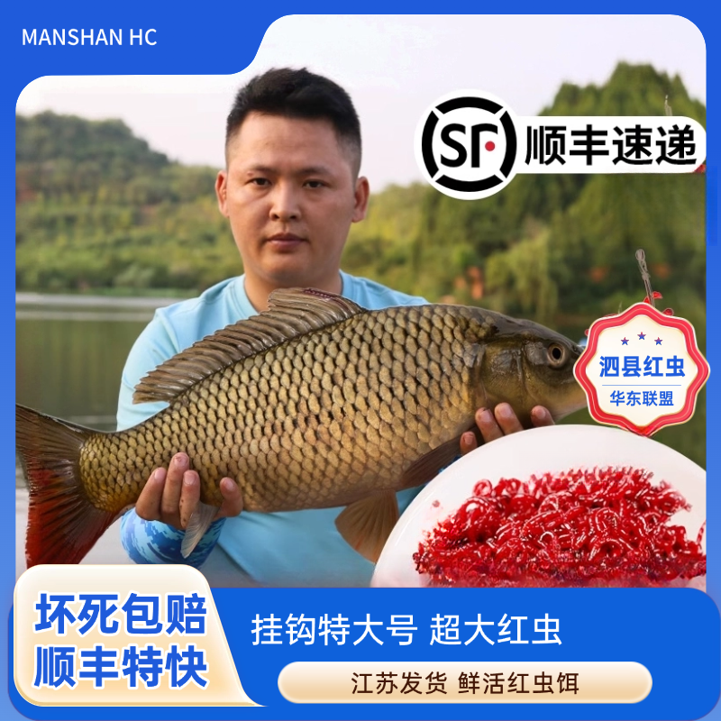 【拉饵中小号】净虫不带土/拉饵肉夹馍
