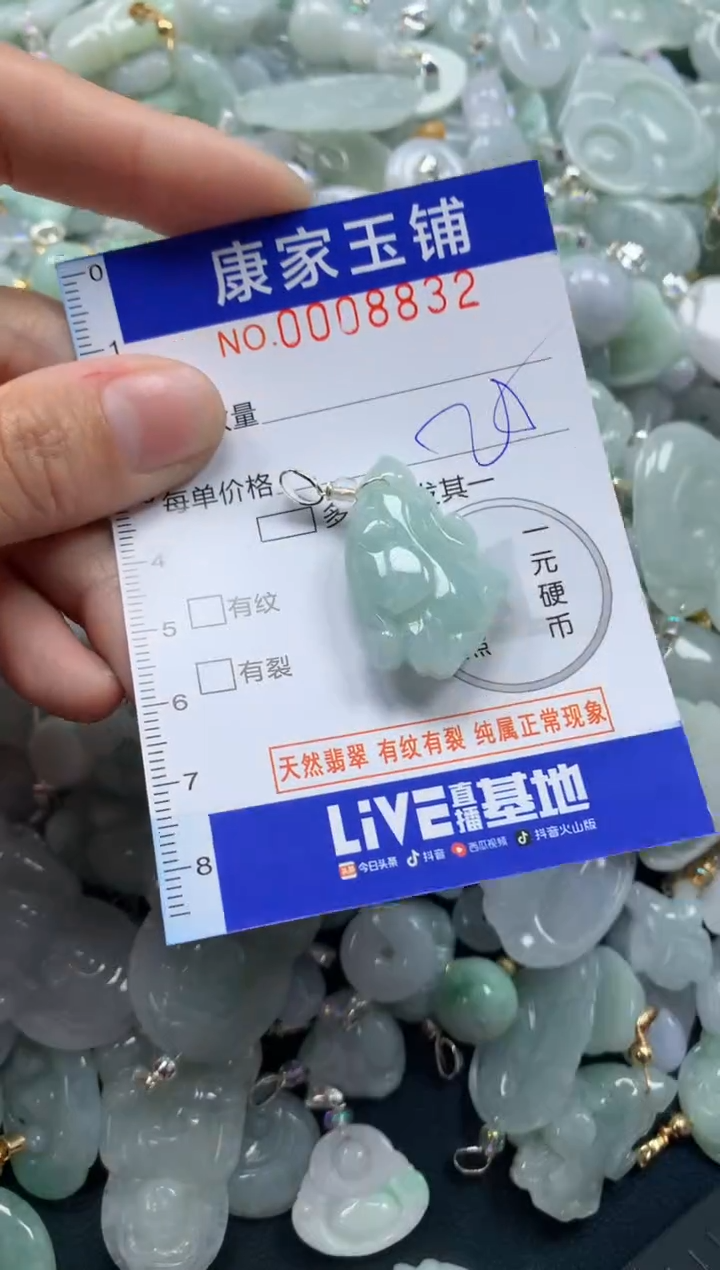 颈饰未镶嵌翡翠8832