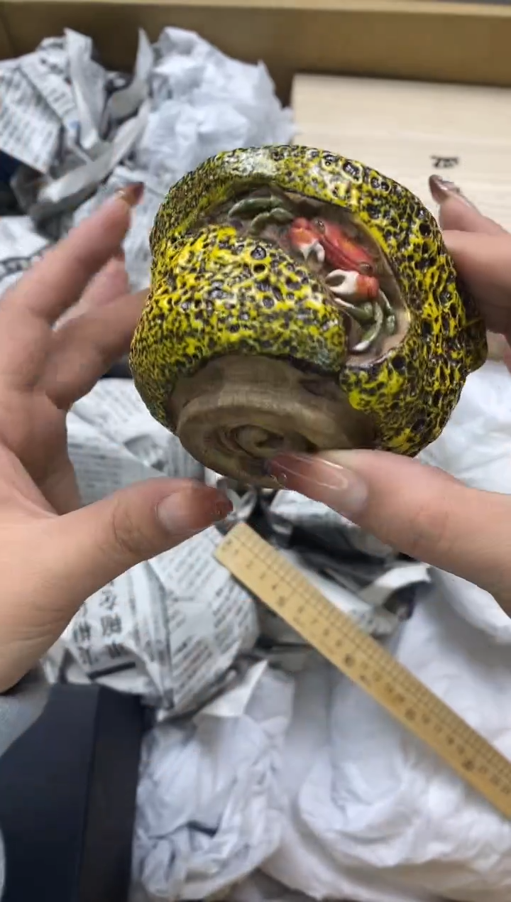 瓷片瓷片精美陶瓷甄选一单一付