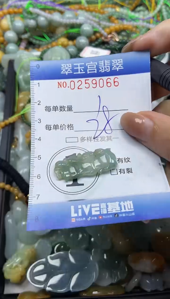 颈饰未镶嵌翡翠闪购C0259066