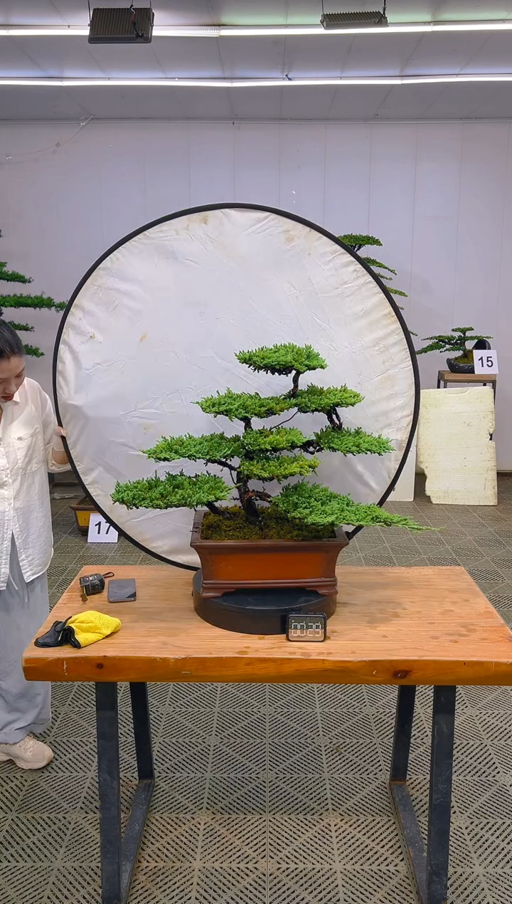 无花朵一物一拍一物一拍