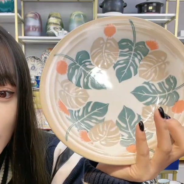 好看的盘子【单支】日本进口美浓烧春来信深盘22cm
